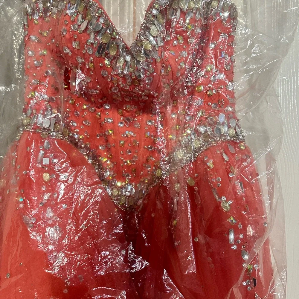 Quinceañera Dress - Picture 4 of 6